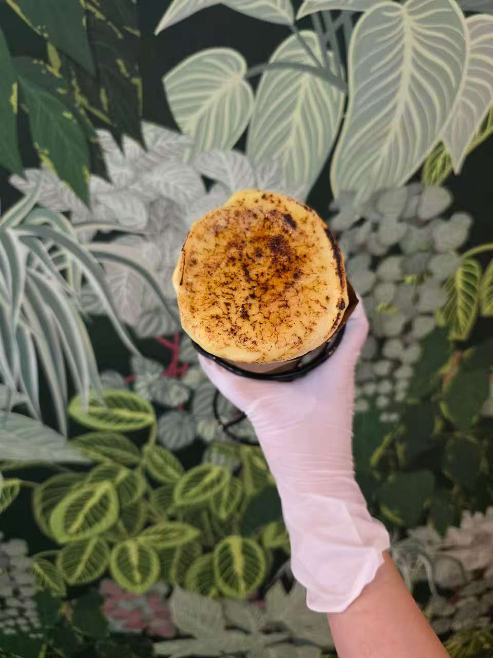 Crème Brûlée Crepe (cone-style) - popular dessert or drink