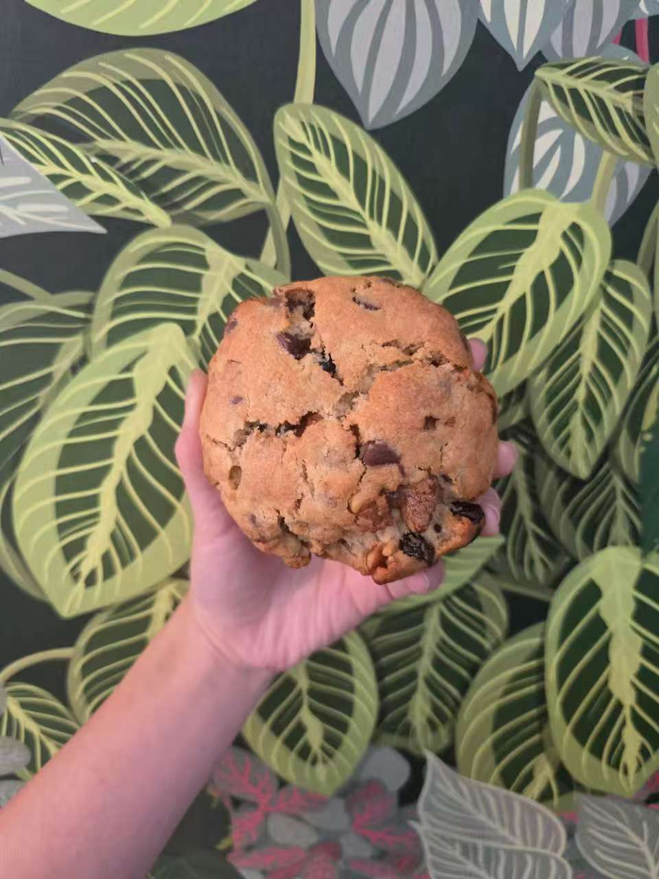 Double Chocolate Cookies - popular dessert or drink